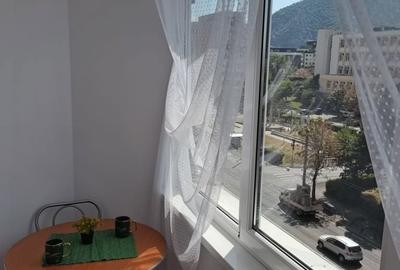 Garsonieră semidecomandată în Griviței - 3