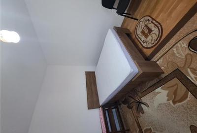 Garsonieră decomandată, mobilată în Podu Roș - 2