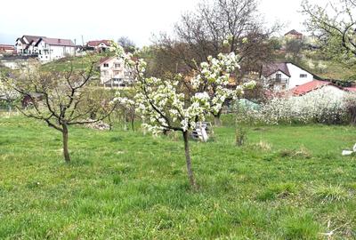 Teren Construcții intravilan de 600 mp, în Dumbrava 2 - 5