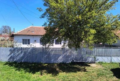 Teren de 1867 mp, în Manasia - 4