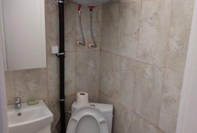 Garsoniera - Mosilor - 9