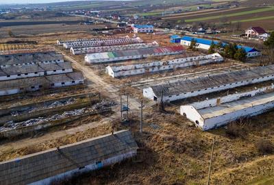 Teren Construcții intravilan de 39600 mp, în Traian - 8