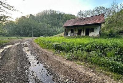Casă în Almaș-Săliște - 2