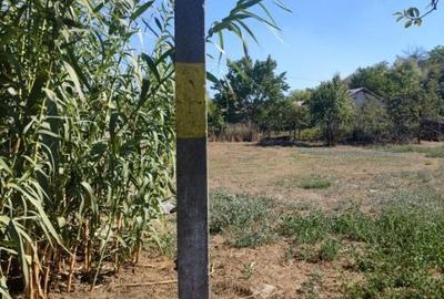 Casă cu 3 camere cu Teren 4429 Mp în Malcoci - 2