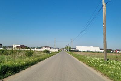 Teren Construcții intravilan de 9800 mp, în Clinceni - 3