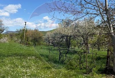 Casă cu 3 camere decomandat cu Teren 3000 Mp în Copalnic - 2