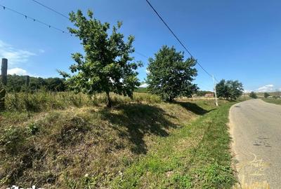 Teren de 576 mp, în Sânmartin - 6