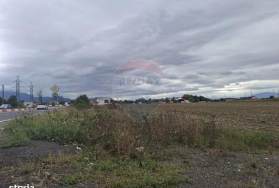 Teren de 107720 mp, în Florilor - 4