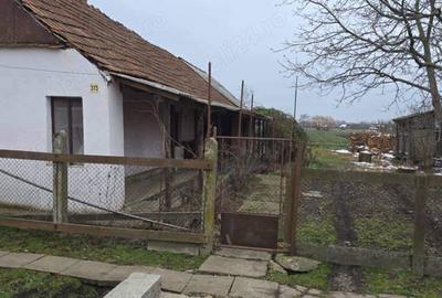 Vand casa veche la ?ara,cu teren aferent,la 5km de sta?iunea balneara Ta?nad! - 2