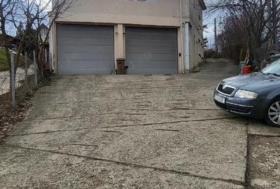 Spațiu comercial, de 70 mp, în Nicolina - 1