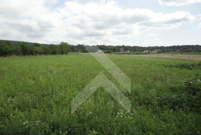 Teren intravilan pentru casa de vacanta - PRAHOVA (Banesti) - 6