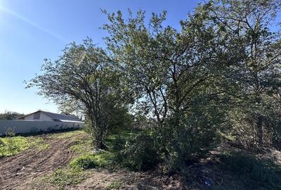 Spațiu comercial, în Voluntari - 1