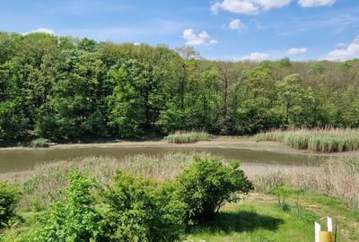 Spațiu comercial, în Cozieni - 5