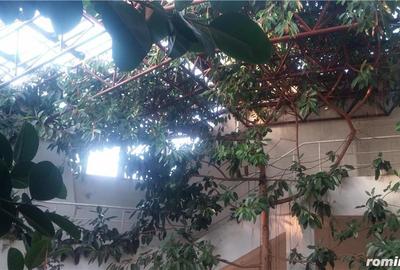 Casă cu 11 camere în Central - 6