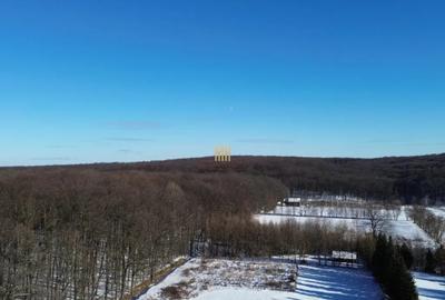 Teren în Dragomirna - 5