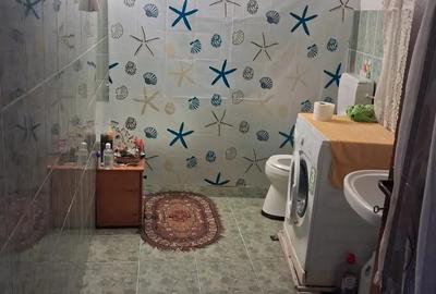 Vand casa la tara 19000 euro - 6