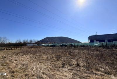 Spațiu comercial, în Sărățel - 4