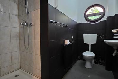 Apartament cu 5 camere de inchiriat in vila zona Aviatorilor Metrou - 8