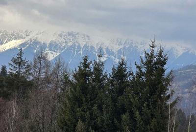 Teren de 3040 mp, în Bran - 1