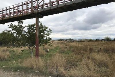 5000mp de vanzare Zona Onasis , E 85, autorizatie hale 600 si 400mp - 6