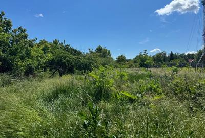 Teren Snagov - Ideal pentru dezvoltare rezidentiala sau investitie! - 4