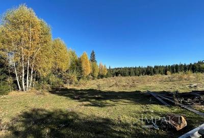 Teren intravilan de 2001 mp în Calatele Padure, comuna Calatele! - 2