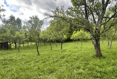 Teren intravilan 3102mp zona Racovita-Blanoiu - 1