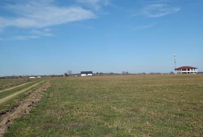 Teren de 1075 mp, în Găneasa - 4