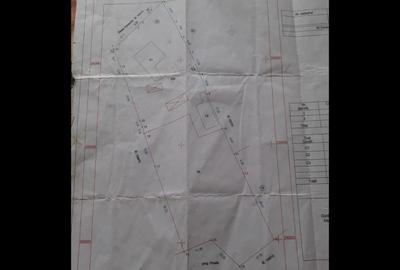 Casa la sol + teren 3250 mp, pozitie excelenta, Cobadin, Jud. Constanta!!! - 5