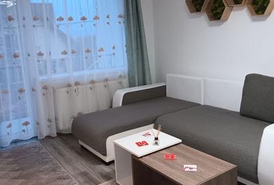 Apartament cu 2 camere decomandat în Remetea - 1