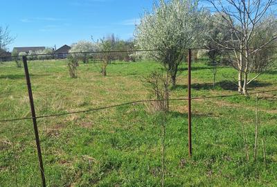 Teren Construcții intravilan de 2262 mp, în Dragomirești-Vale - 3