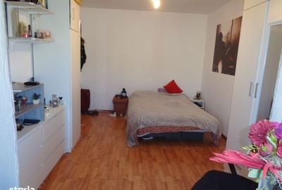 Apartament cu 3 camere decomandat în Aurel Vlaicu - 9