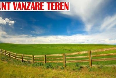 Teren Construcții intravilan de 256 mp, în Radu Negru