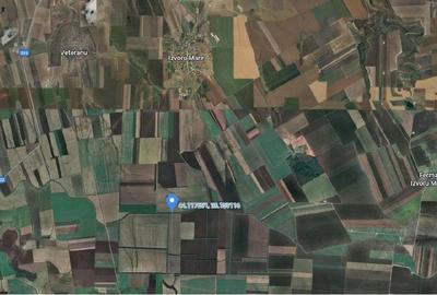Teren de 9500 mp, în Cobadin - 9