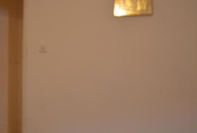 Apartament cu 2 camere semidecomandat în Cezar Petrescu - 10