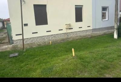 Casa de vinzare Peciu Nou - 2