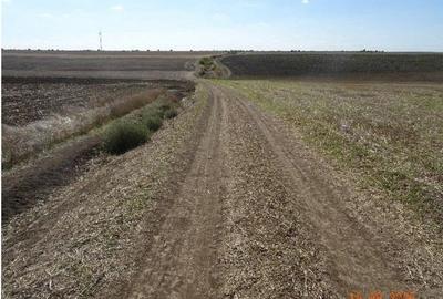 Teren de 9500 mp, în Cobadin - 2