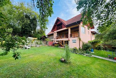 Casă individuală cu 10 camere în Vârfuri