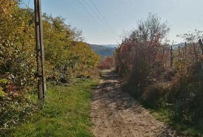 Casă cu 2 camere în Central - 9