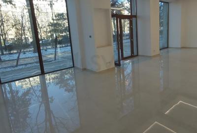 REC3001429 Spatiu comercial de inchiriat central I Bd Unirii - 2