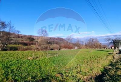 COMISION 0%  Teren intravilan de vanzare in Barsana (26 ARI) - 11