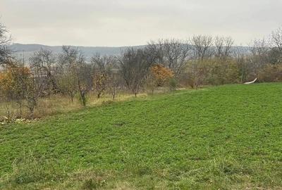 De vanzare casa batraneasca in com Ion Creanga, Teren 2900 mp, 35.000 euro - 6