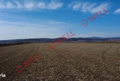 Spațiu comercial, în Chilieni - 3