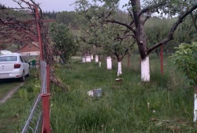 Casa intr-o zona pitoreasca de deal Bezdead, Dambovita - 2