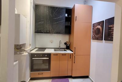 Garsonieră semidecomandată în Calea Victoriei - 8