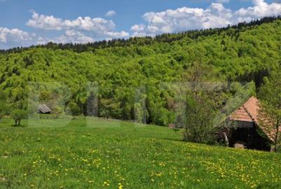 Teren intravilan 3400 mp, in Balaban - Simon, Bran - Brasov - 8