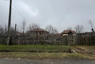Casă cu 2 camere în Palanga - 1