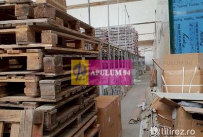 Hala 3600mp zona de Sud a capitalei - 29