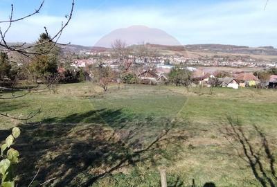 Teren intravilan de vanzare 3,798mp Str.Floreasca - Agnita - 6