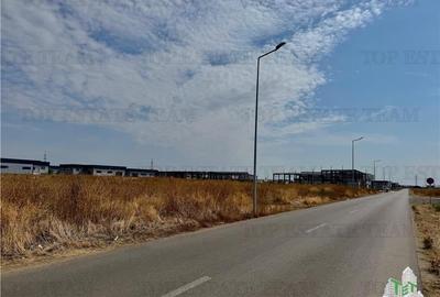Teren industrial de inchiriat langa Centura / Domnesti / Chiajna - 6